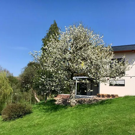Haagalm Terrasse, Garten Nonnweiler Exterior foto