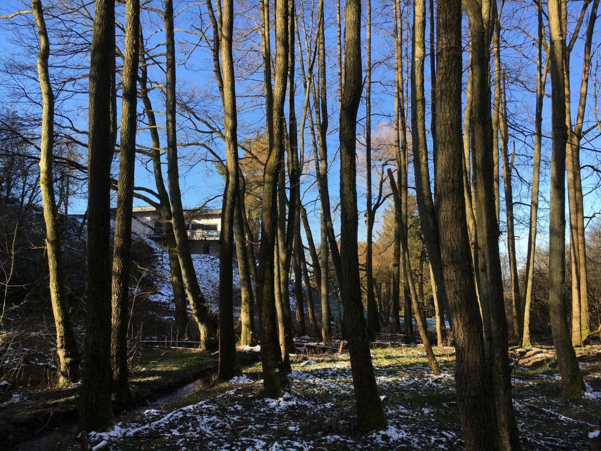 Haagalm Terrasse, Garten * Nonnweiler