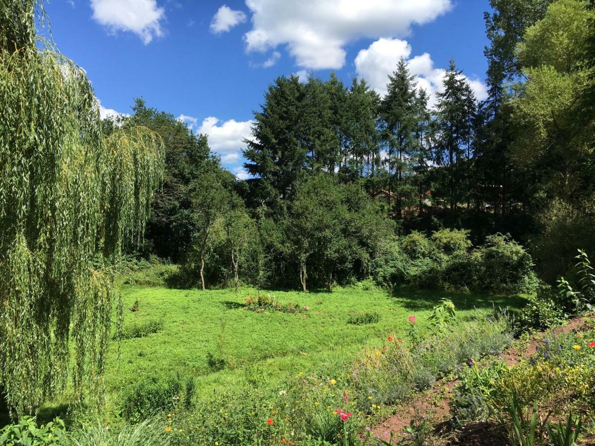 Haagalm Terrasse, Garten *