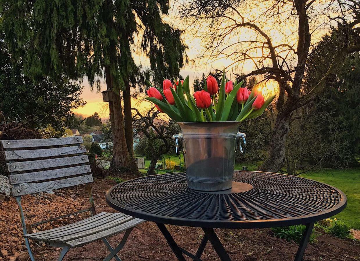 Haagalm Terrasse, Garten Apartment *